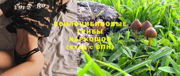 a pvp Михайловск