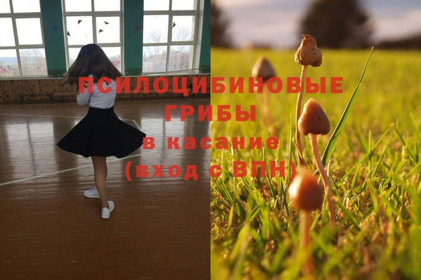 a pvp Михайловск