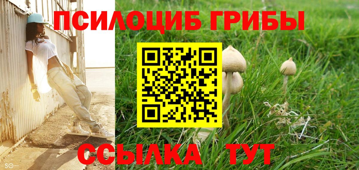 Псилоцибиновые грибы Psilocybine cubensis Ишимбай