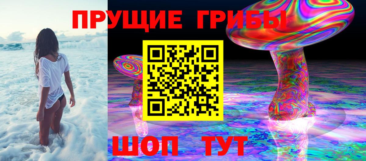 Псилоцибиновые грибы Psilocybe Ишимбай