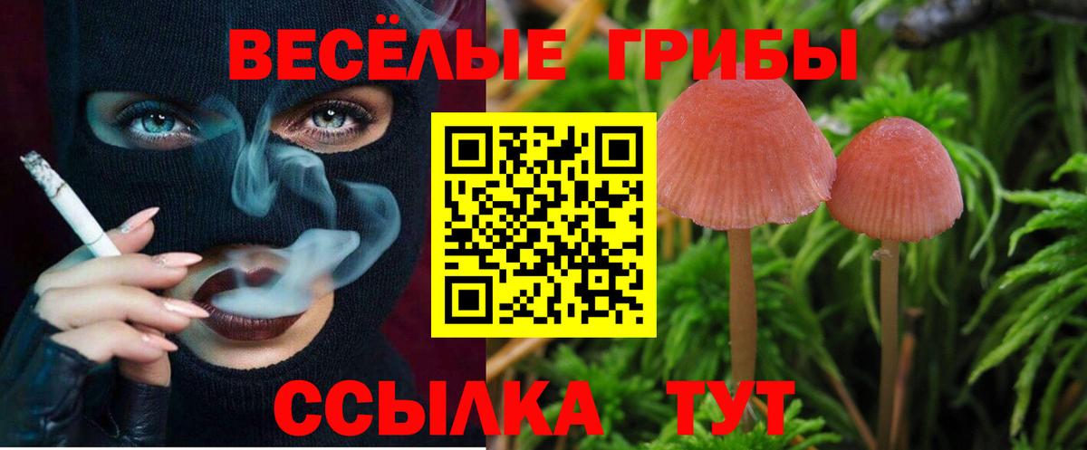 Галлюциногенные грибы Magic Shrooms  цены   Ишимбай 
