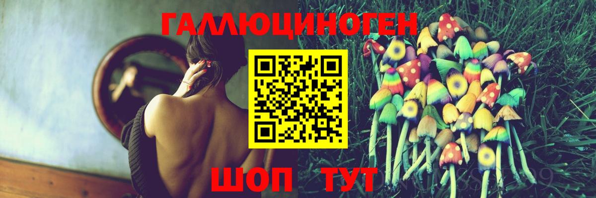 Ишимбай  сколько стоит  Вход с VPN  Псилоцибиновые грибы Cubensis 